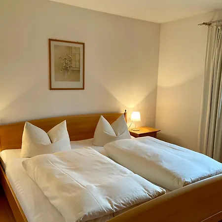 아파트 Alpenrose Sommer-hoernerbahnen Kostenlos 오베르마이셀스타인